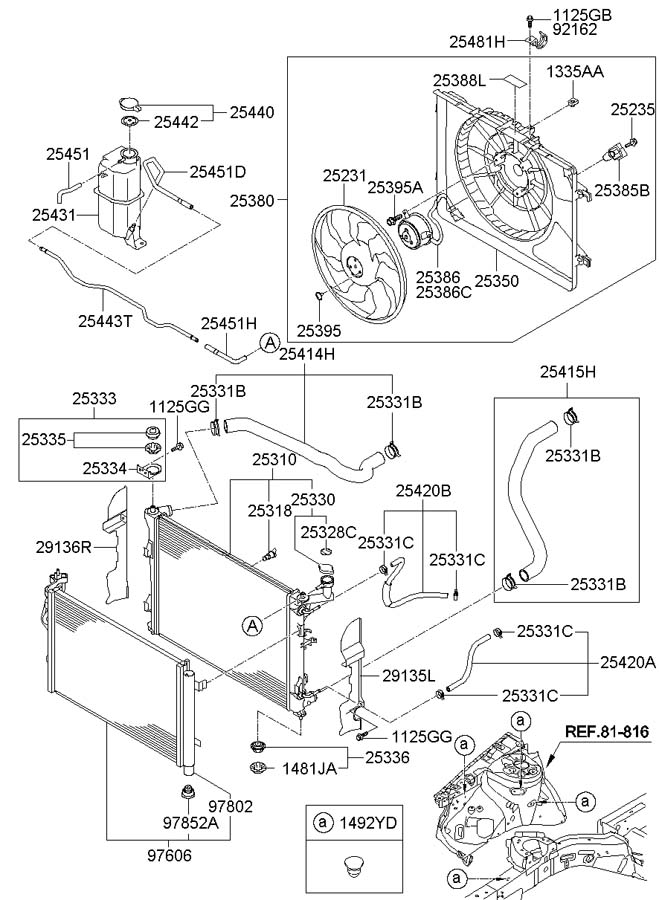 254152H100 - Hyundai Radiator Coolant Hose (Lower). Elantra | Wholesale ...